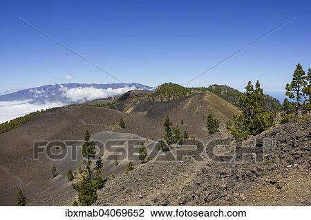 Blick uber Vulkane, Vulkanlandschaft, dahinter Caldera de Taburiente, Ruta de los Volcanes, Wanderweg, Vulkanroute, Naturpark Cumbre Vieja, La Palma, Kanarische Inseln, Spanien, Europa View Large Photo Image Stock Image - Blick uber Vulkane, Vulkanlandschaft, dahinter Caldera de Taburiente, Ruta de los Volcanes, Wanderweg, Vulkanroute, Naturpark Cumbre Vieja, La Palma, Kanarische Inseln, Spanien, Europa. Fotosearch