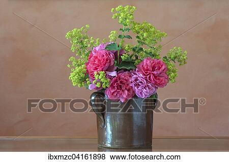 Stock Photo - Blumenstrauss in einem Tonkrug auf einem Tisch, Rose Cariona und Frauenmantel (Alchemilla sp. ). Fotosearch