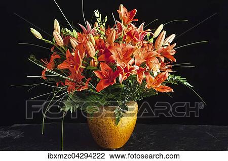 Blumenstrauss, Rote Philippinen-Lilien (Lilium philippinense) in einer Vase vor schwarzem Hintergrund View Large Photo Image Stock Image - Blumenstrauss, Rote Philippinen-Lilien (Lilium philippinense) in einer Vase vor schwarzem Hintergrund. Fotosearch