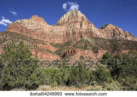 Bridge Mountain, Zion Nationalpark, Utah, USA, Nordamerika View Large Photo Image Stock Image - Bridge Mountain, Zion Nationalpark, Utah, USA, Nordamerika. Fotosearch