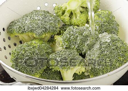 Picture - Brokkoli, auch Broccoli, wird in einem Sieb gewaschen. Fotosearch