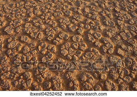 Stock Image - Bruchflache einer Salz-Pfanne, Ton-Pfanne, auch playa, Tassili n'Ajjer, Sahara, Algerien, Afrika. Fotosearch