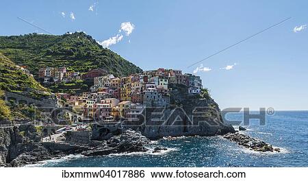 Stock Photograph - Bunte Hauser an Steilkuste, Manarola, Riomaggiore, Cinque Terre, La Spezia, Ligurien, Italien, Europa. Fotosearch