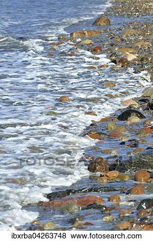 Bunte Steine am Strand von Wasser umspult, Hohes Ufer bei Ahrenshoop, Fischland-Darss-Zingst, Mecklenburg-Vorpommern, Deutschland, Europa View Large Photo Image Stock Photo - Bunte Steine am Strand von Wasser umspult, Hohes Ufer bei Ahrenshoop, Fischland-Darss-Zingst, Mecklenburg-Vorpommern, Deutschland, Europa. Fotosearch