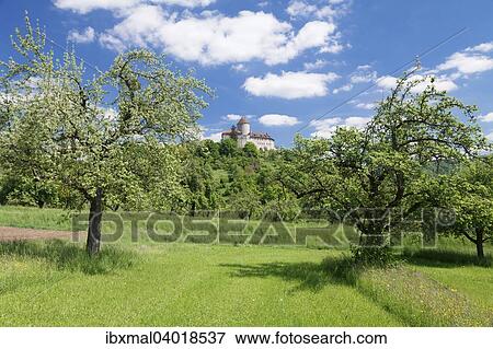 Burg Reichenberg, Oppenweiler, Rems Murr Kreis, Baden Wurttemberg, Deutschland, Europa View Large Photo Image Stock Photo - Burg Reichenberg, Oppenweiler, Rems Murr Kreis, Baden Wurttemberg, Deutschland, Europa. Fotosearch