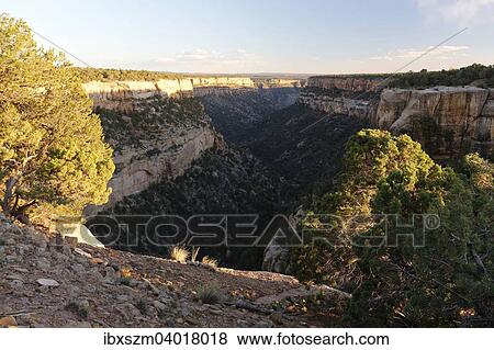 Canyon, Mesa-Verde-Nationalpark, Colorado, USA, Nordamerika View Large Photo Image Stock Photo - Canyon, Mesa-Verde-Nationalpark, Colorado, USA, Nordamerika. Fotosearch