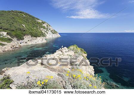 Capo Enfola, Elba, Provinz Livorno, Toskana, Italien, Europa View Large Photo Image Stock Photography - Capo Enfola, Elba, Provinz Livorno, Toskana, Italien, Europa. Fotosearch