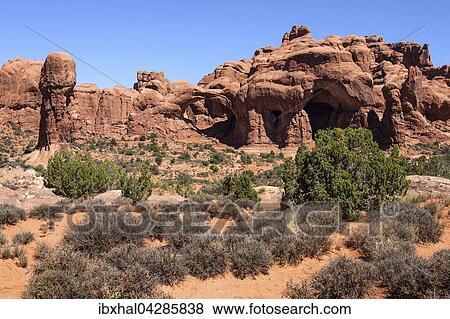 Cove of Caves, Mitte Double Arch, The Windows Selection, Arches National Park, Utah, USA, Nordamerika View Large Photo Image Stock Photo - Cove of Caves, Mitte Double Arch, The Windows Selection, Arches National Park, Utah, USA, Nordamerika. Fotosearch