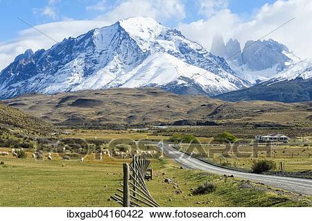 Cuernos del Paine, Nationalpark Torres del Paine, Patagonien, Chile, Sudamerika View Large Photo Image Stock Image - Cuernos del Paine, Nationalpark Torres del Paine, Patagonien, Chile, Sudamerika. Fotosearch