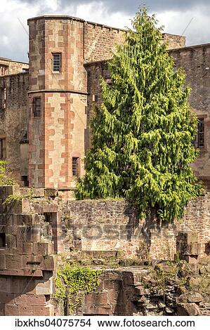 Das Heidelberger Schloss, Heidelberg, Baden-Wurttemberg, Deutschland, Europa View Large Photo Image Picture - Das Heidelberger Schloss, Heidelberg, Baden-Wurttemberg, Deutschland, Europa. Fotosearch