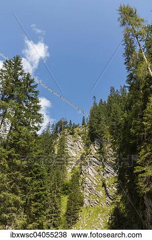 Die Holzgauer Hangebrucke von unten, mit 200, 5 m Lange, 1, 20 m Breite und 110 m Hohe die langste und hochste Seilhangebrucke in Osterreich, Holzgau, Lechtal, Osterreich, Europa View Large Photo Image Stock Photo - Die Holzgauer Hangebrucke von unten, mit 200, 5 m Lange, 1, 20 m Breite und 110 m Hohe die langste und hochste Seilhangebrucke in Osterreich, Holzgau, Lechtal, Osterreich, Europa. Fotosearch