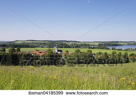 Dorf Gaden, Waginger See, Waging am See, Chiemgau, Oberbayern, Bayern, Deutschland, Europa View Large Photo Image Stock Photo - Dorf Gaden, Waginger See, Waging am See, Chiemgau, Oberbayern, Bayern, Deutschland, Europa. Fotosearch