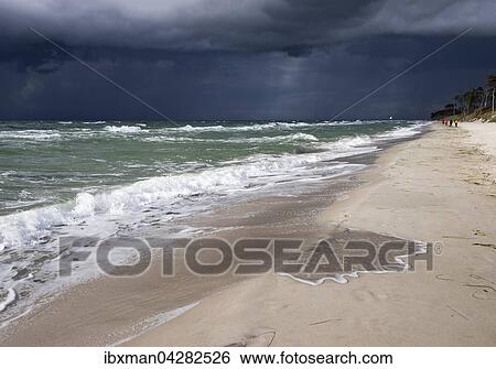 Dunkle Regenwolken uber Weststrand an der Ostsee, Born auf dem Darss, Fischland-Darss-Zingst, Nationalpark Vorpommersche Boddenlandschaft, Mecklenburg-Vorpommern, Deutschland, Europa View Large Photo Image Stock Photograph - Dunkle Regenwolken uber Weststrand an der Ostsee, Born auf dem Darss, Fischland-Darss-Zingst, Nationalpark Vorpommersche Boddenlandschaft, Mecklenburg-Vorpommern, Deutschland, Europa. Fotosearch