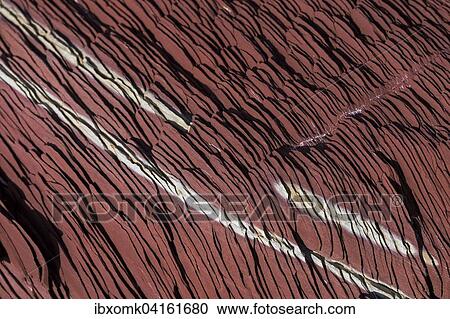 Durch Eisenkristalle rotlich gefarbter Kalkstein und weiss-gelblicher Dolomit, Meeressediment, Segelsallskapet oder Segelselskapets Fjord, Nordost-Gronland-Nationalpark, Gronland, Nordamerika View Large Photo Image Stock Image - Durch Eisenkristalle rotlich gefarbter Kalkstein und weiss-gelblicher Dolomit, Meeressediment, Segelsallskapet oder Segelselskapets Fjord, Nordost-Gronland-Nationalpark, Gronland, Nordamerika. Fotosearch