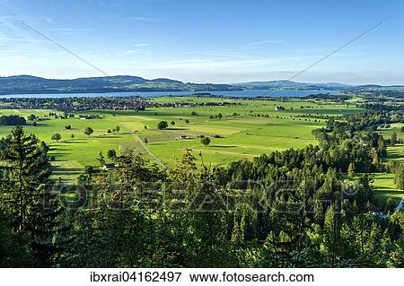 Stock Photo - Ebene des Schwanengau mit Forggensee, Schwangau, Konigswinkel, Ostallgau, Allgau, Schwaben, Bayern, Deutschland, Europa. Fotosearch