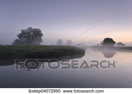 Eichen an einem Gewasser im Morgennebel in einer Auenlandschaft, Biospharenreservat Mittelelbe, Dessau, Sachsen-Anhalt, Deutschland, Europa View Large Photo Image Stock Image - Eichen an einem Gewasser im Morgennebel in einer Auenlandschaft, Biospharenreservat Mittelelbe, Dessau, Sachsen-Anhalt, Deutschland, Europa. Fotosearch