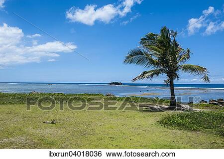 Einzelne Palme, War in the Pacific National Historical Park Nationalpark, Guam, US-Territorium, Pazifik, Ozeanien View Large Photo Image Stock Photograph - Einzelne Palme, War in the Pacific National Historical Park Nationalpark, Guam, US-Territorium, Pazifik, Ozeanien. Fotosearch