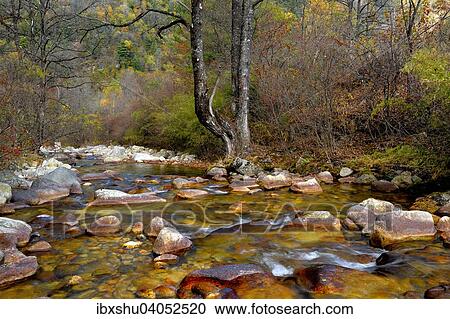 Eisenhaltiger Fluss im Naturschutzgebiet Zhouzi, Qinling-Berge, Provinz Shaanxi, China, Asien View Large Photo Image Stock Image - Eisenhaltiger Fluss im Naturschutzgebiet Zhouzi, Qinling-Berge, Provinz Shaanxi, China, Asien. Fotosearch