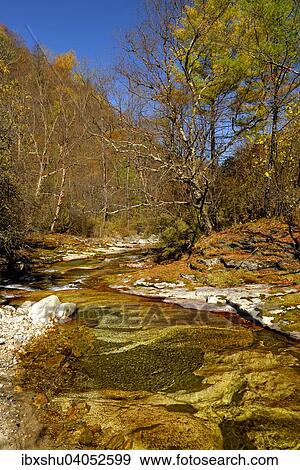 Eisenhaltiger Fluss im Naturschutzgebiet Zhouzi, Qinling-Berge, Provinz Shaanxi, China, Asien View Large Photo Image Stock Photo - Eisenhaltiger Fluss im Naturschutzgebiet Zhouzi, Qinling-Berge, Provinz Shaanxi, China, Asien. Fotosearch