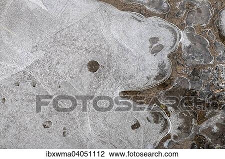 Eisstrukturen in einer Pfutze, Hessen, Deutschland, Europa View Large Photo Image Stock Image - Eisstrukturen in einer Pfutze, Hessen, Deutschland, Europa. Fotosearch