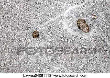 Eisstrukturen in einer Pfutze, Hessen, Deutschland, Europa View Large Photo Image Stock Photo - Eisstrukturen in einer Pfutze, Hessen, Deutschland, Europa. Fotosearch