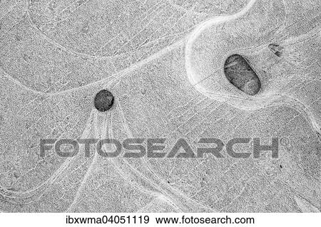 Eisstrukturen in einer Pfutze, Hessen, Deutschland, Europa View Large Photo Image Stock Photo - Eisstrukturen in einer Pfutze, Hessen, Deutschland, Europa. Fotosearch