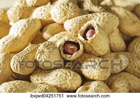 Stock Image - Erdnusse mit Schale. Fotosearch