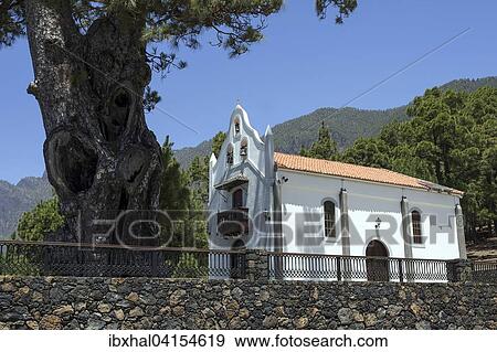 Ermita Virgin del Pino bei El Paso, La Palma, Kanarische Inseln, Spanien, Europa View Large Photo Image Stock Photo - Ermita Virgin del Pino bei El Paso, La Palma, Kanarische Inseln, Spanien, Europa. Fotosearch