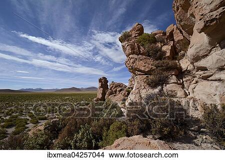 Erodierte Felsen, Valle de las Rocas, Felsental, bei Uyuni, Altiplano, Dreilandereck Bolivien, Argentinien, Chile, Sudamerika View Large Photo Image Picture - Erodierte Felsen, Valle de las Rocas, Felsental, bei Uyuni, Altiplano, Dreilandereck Bolivien, Argentinien, Chile, Sudamerika. Fotosearch