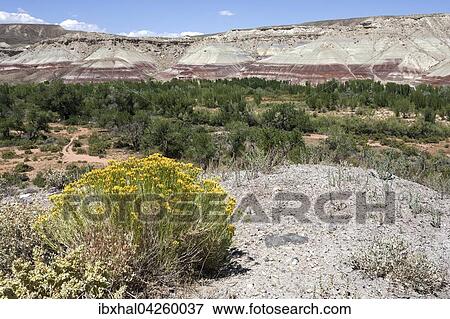 Farbige Gesteinsformationen am Utah Highway 24, ostlich vom Capitol Reef, Utah, USA, Nordamerika View Large Photo Image Stock Photo - Farbige Gesteinsformationen am Utah Highway 24, ostlich vom Capitol Reef, Utah, USA, Nordamerika. Fotosearch