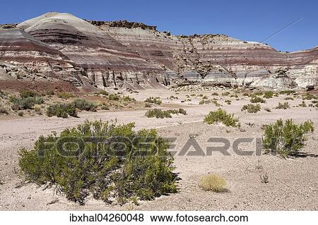 Farbige Gesteinsformationen am Utah Highway 24, bei Hanksville, Utah, USA, Nordamerika View Large Photo Image Stock Photo - Farbige Gesteinsformationen am Utah Highway 24, bei Hanksville, Utah, USA, Nordamerika. Fotosearch