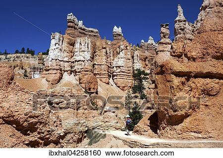 Farbige Gesteinsformationen, Hoodoos, Wanderin auf dem Queens Garden Trail, Bryce-Canyon-Nationalpark, Utah, USA, Nordamerika View Large Photo Image Stock Image - Farbige Gesteinsformationen, Hoodoos, Wanderin auf dem Queens Garden Trail, Bryce-Canyon-Nationalpark, Utah, USA, Nordamerika. Fotosearch