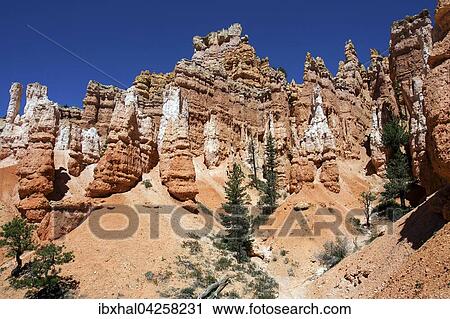 Farbige Gesteinsformationen, Hoodoos, am Queens Garden Trail, Bryce-Canyon-Nationalpark, Utah, USA, Nordamerika View Large Photo Image Stock Image - Farbige Gesteinsformationen, Hoodoos, am Queens Garden Trail, Bryce-Canyon-Nationalpark, Utah, USA, Nordamerika. Fotosearch