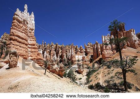 Stock Image - Farbige Gesteinsformationen, Hoodoos, am Queens Garden Trail, Bryce-Canyon-Nationalpark, Utah, USA, Nordamerika. Fotosearch