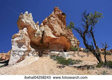 Farbige Gesteinsformationen, Hoodoos, am Queens Garden Trail, Bryce-Canyon-Nationalpark, Utah, USA, Nordamerika View Large Photo Image Stock Image - Farbige Gesteinsformationen, Hoodoos, am Queens Garden Trail, Bryce-Canyon-Nationalpark, Utah, USA, Nordamerika. Fotosearch