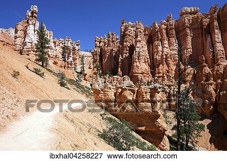 Farbige Gesteinsformationen, Hoodoos, Queens Garden Trail, Bryce-Canyon-Nationalpark, Utah, USA, Nordamerika View Large Photo Image Stock Photo - Farbige Gesteinsformationen, Hoodoos, Queens Garden Trail, Bryce-Canyon-Nationalpark, Utah, USA, Nordamerika. Fotosearch