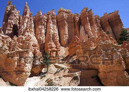 Farbige Gesteinsformationen, Hoodoos, Queens Garden Trail, Bryce-Canyon-Nationalpark, Utah, USA, Nordamerika View Large Photo Image Stock Photograph - Farbige Gesteinsformationen, Hoodoos, Queens Garden Trail, Bryce-Canyon-Nationalpark, Utah, USA, Nordamerika. Fotosearch
