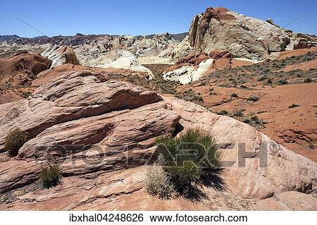 Farbige Sandsteinformationen, Valley of Fire State Park, Nevada, USA, Nordamerika View Large Photo Image Stock Photograph - Farbige Sandsteinformationen, Valley of Fire State Park, Nevada, USA, Nordamerika. Fotosearch