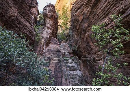 Farbiger Sandstein am Canyon Overlook Trail, Zion Nationalpark, Utah, USA, Nordamerika View Large Photo Image Picture - Farbiger Sandstein am Canyon Overlook Trail, Zion Nationalpark, Utah, USA, Nordamerika. Fotosearch