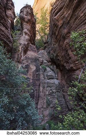Farbiger Sandstein am Canyon Overlook Trail, Zion Nationalpark, Utah, USA, Nordamerika View Large Photo Image Stock Photography - Farbiger Sandstein am Canyon Overlook Trail, Zion Nationalpark, Utah, USA, Nordamerika. Fotosearch