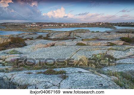 Felsen, Abendstimmung am Kustenabschnitt, bei Smogen, Provinz Bohuslan, Vastra Gotalands lan, Schweden, Europa View Large Photo Image Stock Photo - Felsen, Abendstimmung am Kustenabschnitt, bei Smogen, Provinz Bohuslan, Vastra Gotalands lan, Schweden, Europa. Fotosearch