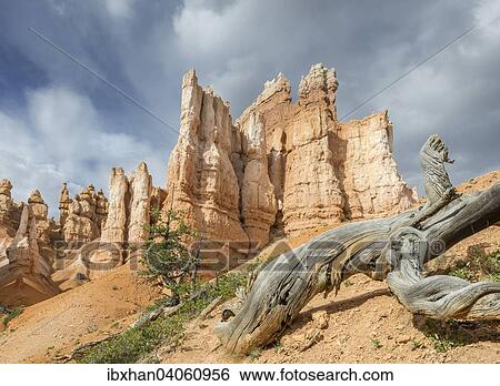 Stock Photograph - Felsszenerie vom Navajo Loop Trail, Bryce-Canyon-Nationalpark, Bryce, Utah, USA, Nordamerika. Fotosearch