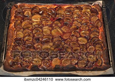 Fertiger Zwetschgenkuchen, Datschi auf einem Backblech View Large Photo Image Stock Image - Fertiger Zwetschgenkuchen, Datschi auf einem Backblech. Fotosearch