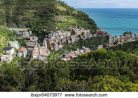 Fischerdorf Manarola, Cinque Terre, UNESCO-Weltkulturerbe, Italienische Riviera, Ligurien, Levante, Italien, Europa View Large Photo Image Stock Photo - Fischerdorf Manarola, Cinque Terre, UNESCO-Weltkulturerbe, Italienische Riviera, Ligurien, Levante, Italien, Europa. Fotosearch
