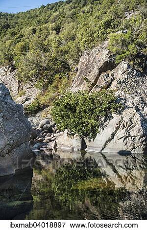 Stock Photo - Fluss Fango, Tuarelli, Fangotal, Vallee du Fango, Haute-Corse, Korsika, Frankreich, Europa. Fotosearch