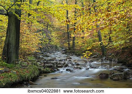 Fluss Ilse, Herbst, Nationalpark Harz, Ilsenburg, Sachsen-Anhalt, Deutschland, Europa View Large Photo Image Stock Image - Fluss Ilse, Herbst, Nationalpark Harz, Ilsenburg, Sachsen-Anhalt, Deutschland, Europa. Fotosearch