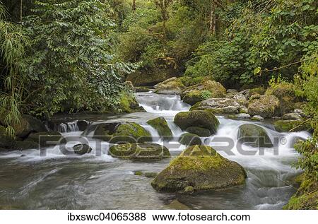 Fluss mit Felsen, Bergregenwald, Rio Savegre, Nationalpark Los Quetzales, San Gerardo de Dota, Provinz San Jose, Costa Rica, Nordamerika View Large Photo Image Stock Photo - Fluss mit Felsen, Bergregenwald, Rio Savegre, Nationalpark Los Quetzales, San Gerardo de Dota, Provinz San Jose, Costa Rica, Nordamerika. Fotosearch