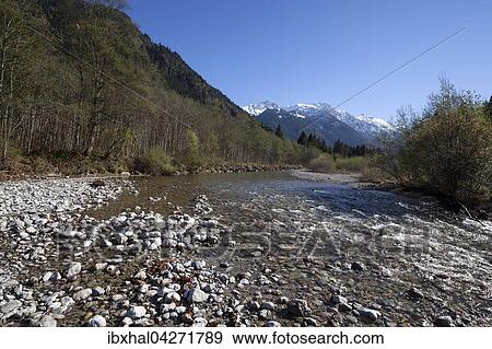 Fluss Ostrach, hinten die Allgauer Berge, Herbststimmung, bei Hinterstein, Allgau, Bayern, Deutschland, Europa View Large Photo Image Stock Photo - Fluss Ostrach, hinten die Allgauer Berge, Herbststimmung, bei Hinterstein, Allgau, Bayern, Deutschland, Europa. Fotosearch