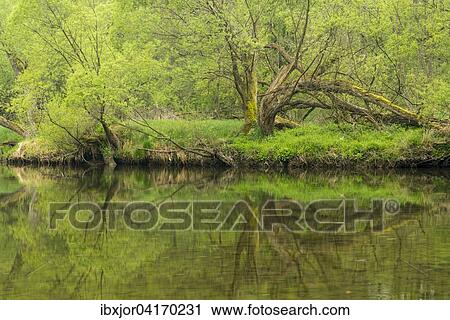 Stock Image - Fluss Thaya, Nationalpark Thayatal, Hardegg, Niederosterreich, Osterreich, Europa. Fotosearch