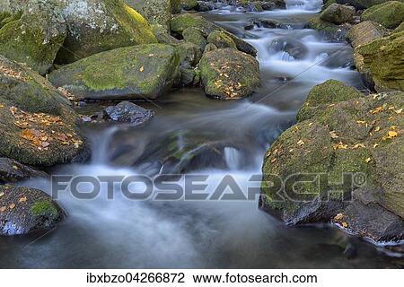 Fluss Vydra, mit Moos bewachsene Steine, Nationalpark Sumava, Bohmerwald, Tschechien, Europa View Large Photo Image Stock Image - Fluss Vydra, mit Moos bewachsene Steine, Nationalpark Sumava, Bohmerwald, Tschechien, Europa. Fotosearch